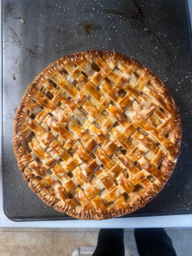 Syri's lattice apple pie, fresh from her Florence kitchen.