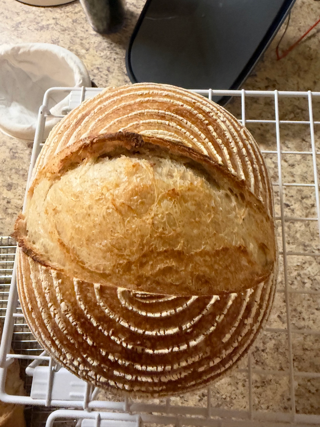 Sourdough loaf B with spiral banneton rings and a big ear, baked October 23, 2026