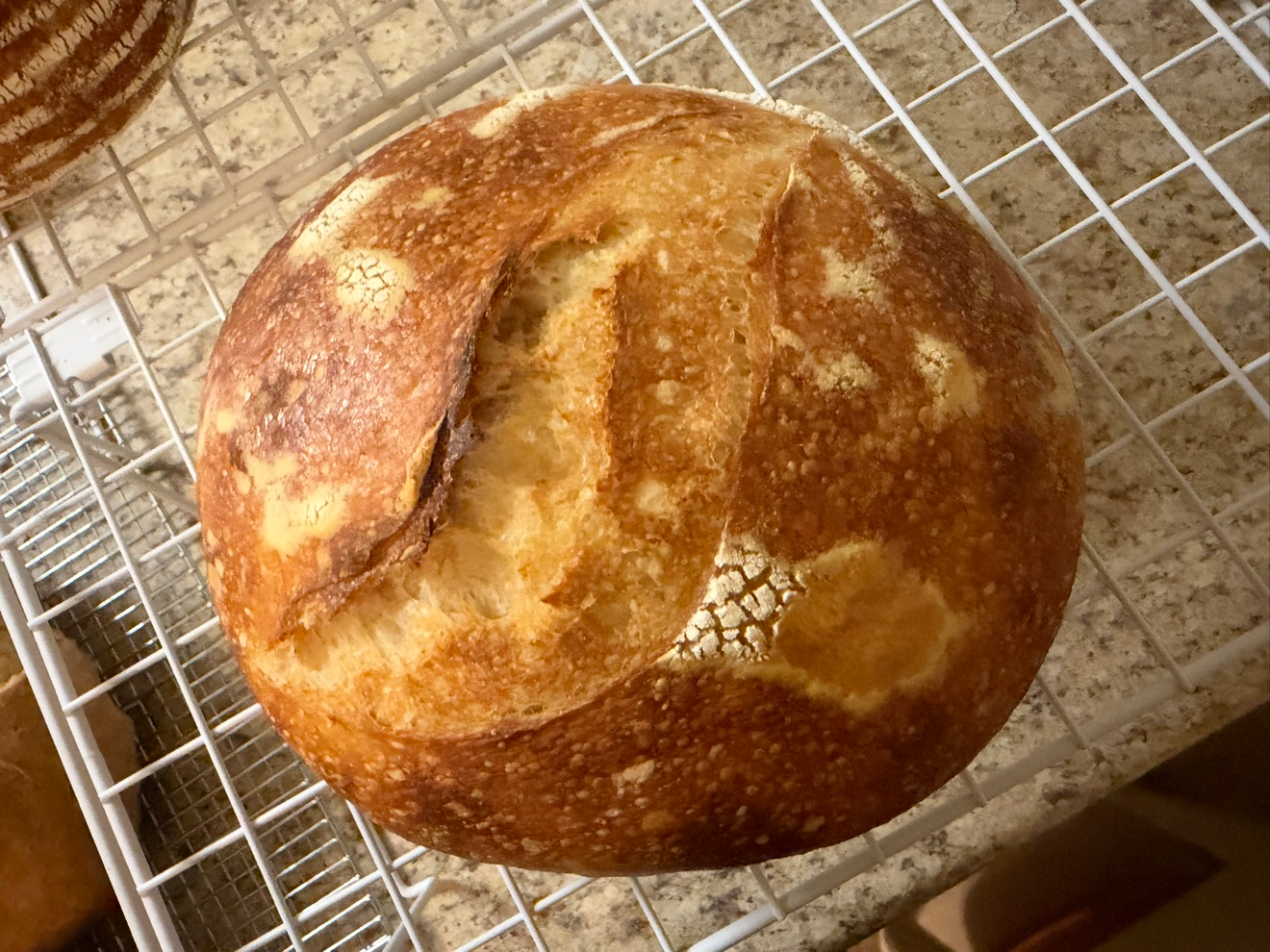 Sourdough loaf C with a deep mahogany crust, baked October 23, 2026
